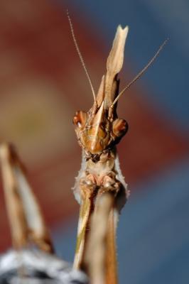 DSC_0131.JPG