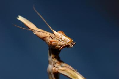 DSC_0141.JPG
