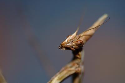 DSC_0151.JPG