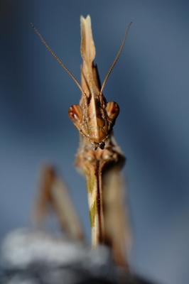 DSC_0160.JPG