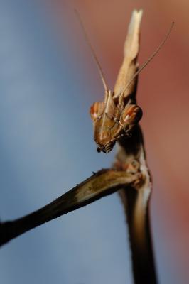 DSC_0162.JPG