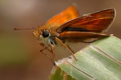 g4/38/163638/3/59638461.DSC_0103.jpg