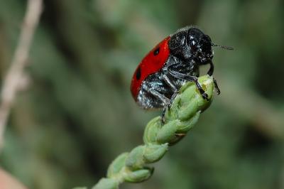 DSC_0073.JPG