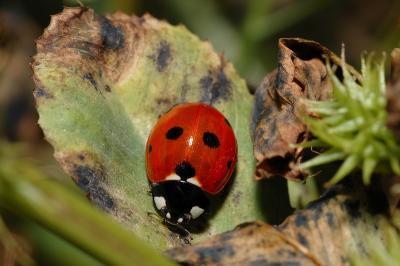DSC_0109.JPG