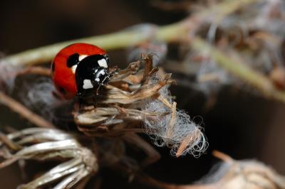 DSC_0046.JPG