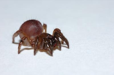DSC_0086.JPG