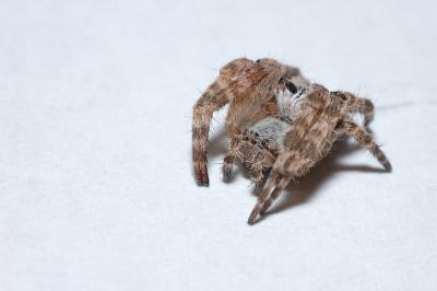 DSC_0094.JPG