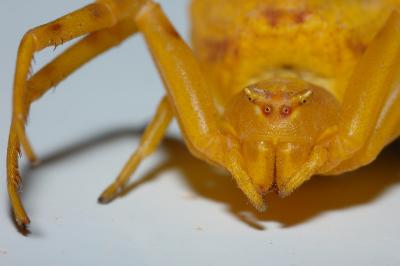 DSC_0130.JPG