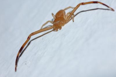 DSC_0073.JPG