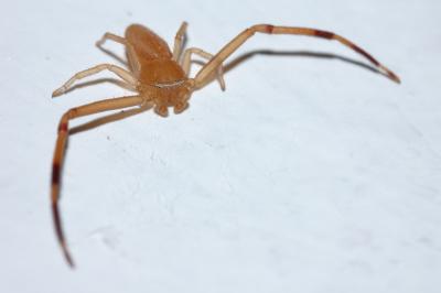 DSC_0075.JPG