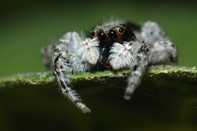 DSC_0030.JPG