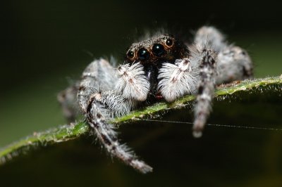 DSC_0031.JPG