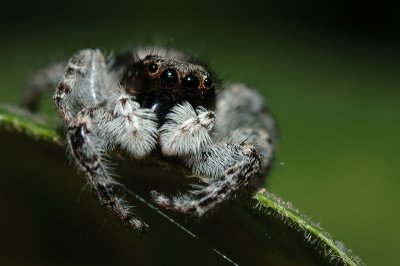 DSC_0038.JPG