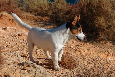 DSC_0071.JPG