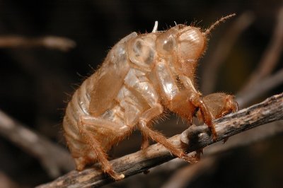 DSC_0002.JPG