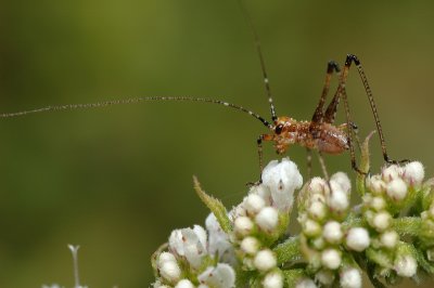 DSC_0140.JPG