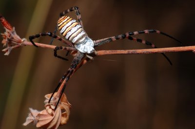 DSC_0113.JPG
