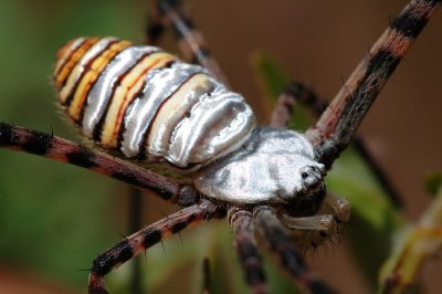 DSC_0119.JPG