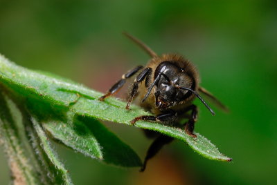 DSC_0094.JPG
