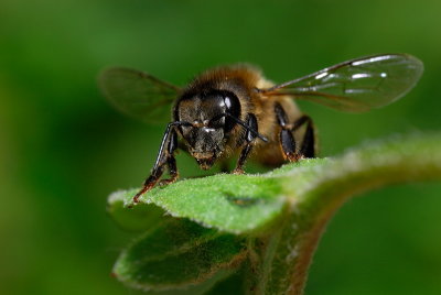 DSC_0103.JPG