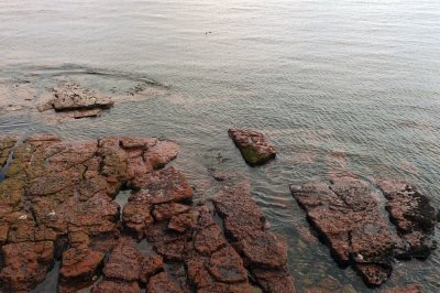 P1060904SP.JPG