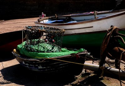 P1060917SP2.jpg