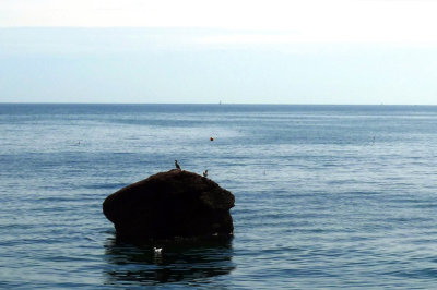 P1060918SP2.jpg