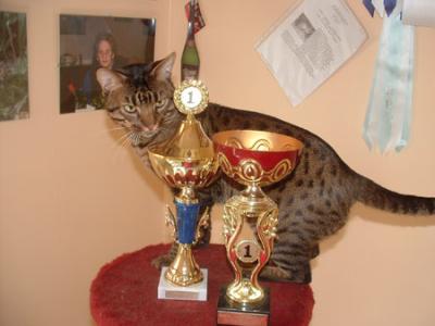 OCC=Best Clubcat  &1st Best Adult kat.lll  2005