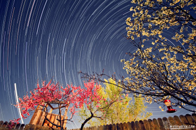 Backyard Startrails