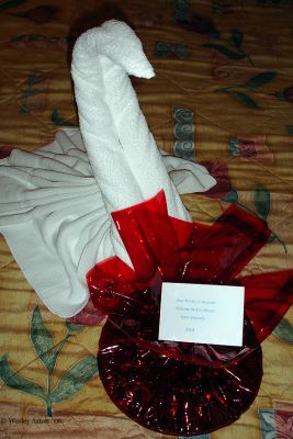 Gift, and Fancy Towel