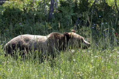 IMG_5684