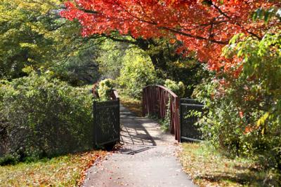 Fall Bridge