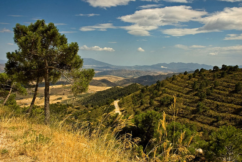 Terraced hillside, Sierra, de Aquas