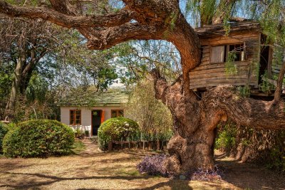 Tree-house and dormitory, Ol Jogi