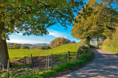 Country road near Beaminster, Dorset