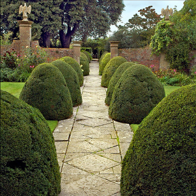 Tintinhull Gardens, Somerset (3064)
