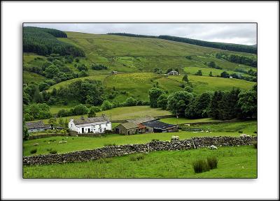 Farm in the Yorkshire Dales