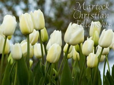 Martock spacer ~white tulips