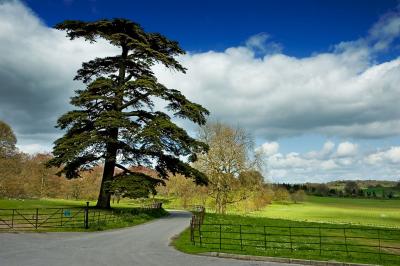 Main drive, Kingston Maurwood