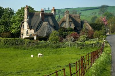 Thatched cottages, Chantmarle (2038)