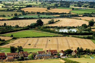 Cut fields, from Ham Hill, Somerset