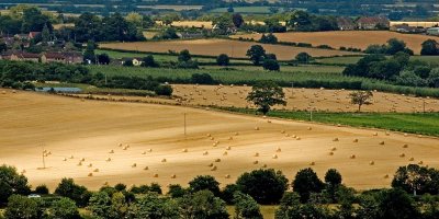 Hay bales, from Ham Hill, Somerset