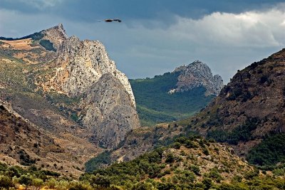 Mountains and eagle, near El Chorro