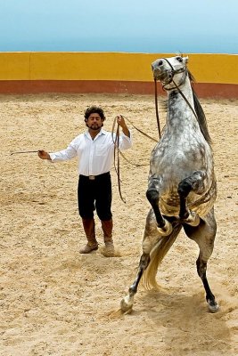 Horse and trainer, Jardin de Las Aguilas