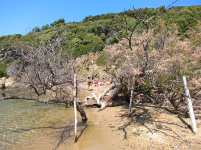 Port-Cros Plage du palud