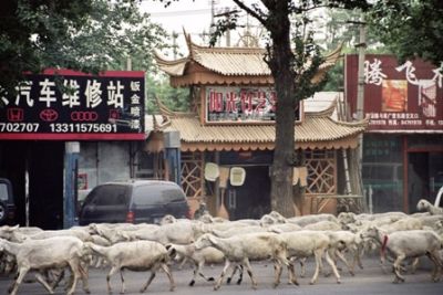 Hutong