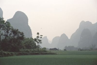 Landscape