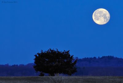 Moonset at Plum Island.jpg