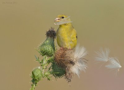 _NW09630.jpg