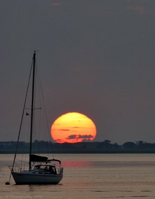 _JFF1787 Sailboat Sunrise.jpg